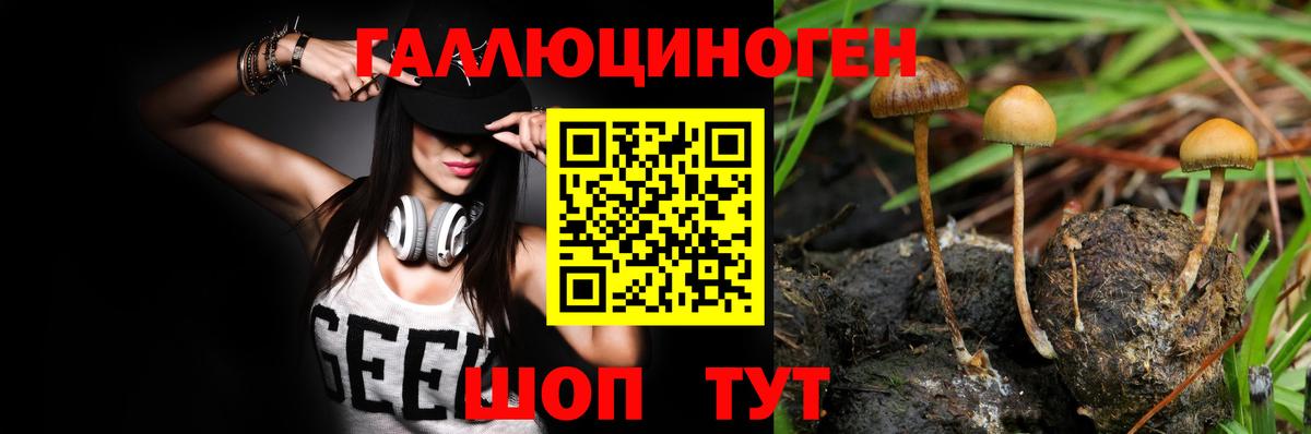 Полевской  Псилоцибиновые грибы Cubensis  Галлюциногенные грибы мухоморы  Вход с VPN 